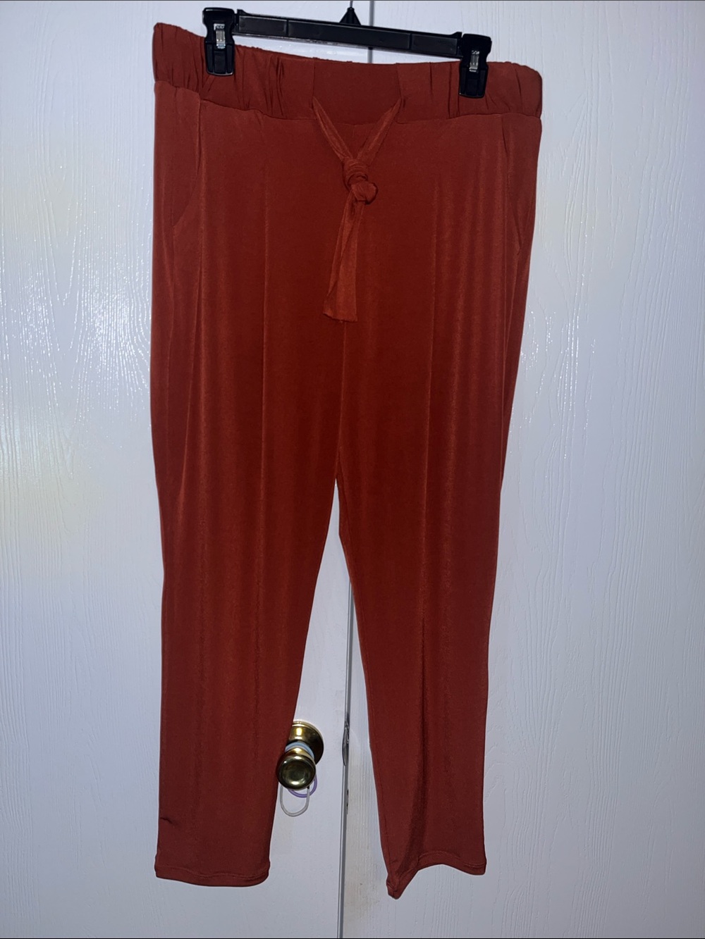 Express Rust Mid Rise Ankle Pants